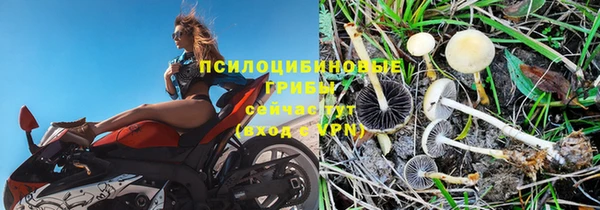 молекула духа Остров