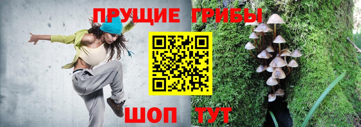 Псилоцибиновые грибы мухоморы  Вход с VPN  Торжок 
