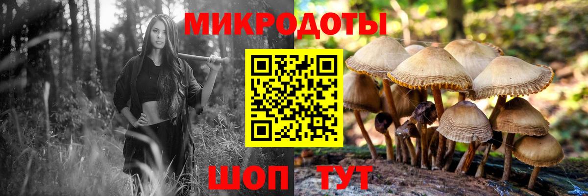 Галлюциногенные грибы мухоморы Торжок